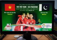 Nhóm 3 kênh trực tiếp bóng đá tại Việt Nam có thể bạn chưa biết